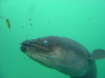 20091015_1083976.jpg