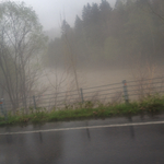 07BEA89F-EE4D-457B-8743-7F6CDD24A2AA.jpg