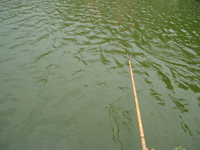 20110602-191349-75633800.gif