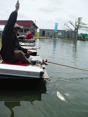 20110602-191432-01215700.gif
