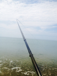 2C61A7F9-6C33-42E7-94F0-35CCAC09BA06.jpg