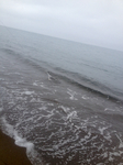 532ED37C-891C-438D-B215-63961562B54E.jpg