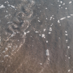 56A845B8-11F0-4D5D-AE5F-477ACBA139F5.jpg