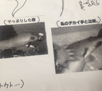 84BA9981-69EF-4B96-BAE2-CA3E3D71EFC9.jpg