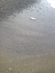 8E5B03CB-7A75-48A9-939D-26D34CBDDC83.jpg