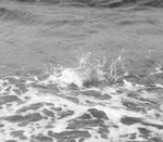 B1176ED2-3D3C-4C64-B84A-9F5E26E08CB9.jpg