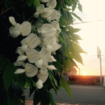 BB43A08B-12BE-4D8B-8367-0935437B83A0.jpg