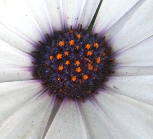 Rs[ ` IMG_4876.jpg
