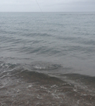 E612FAF3-462E-400C-8915-926746F58CA2.jpg