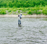 FC410461-D555-4EB6-B314-74A4E756F54F.jpg
