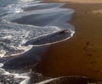 FCEC0CB8-661F-4F9C-8F4D-40E4B472E5D0.jpg