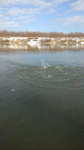FFED0181-85F4-43F9-868D-CCEE720C0368.jpg