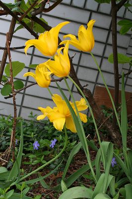 IMG_4878.jpg