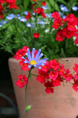IMG_4889.jpg