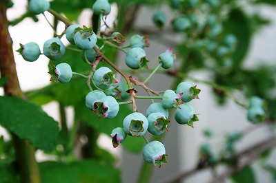 IMG_5011.jpg