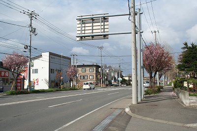 IMG_5586.jpg
