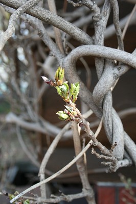 IMG_5597.jpg