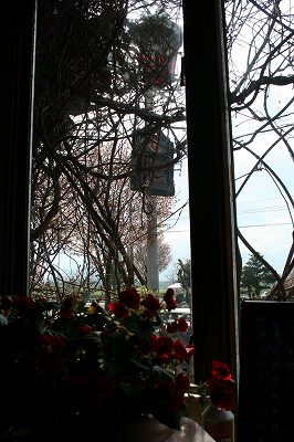 IMG_5599.jpg