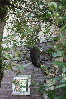 IMG_6555.jpg