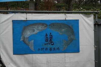 IMG_7006.jpg