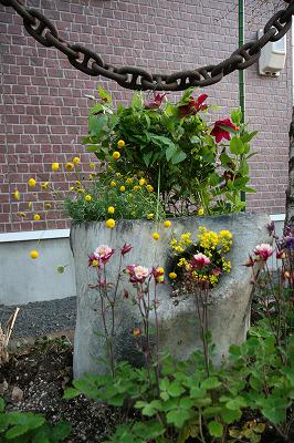 IMG_7373.jpg