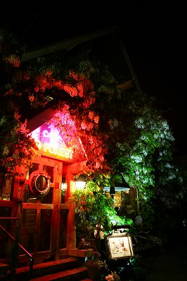 IMG_7916.jpg