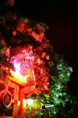 IMG_7935.jpg