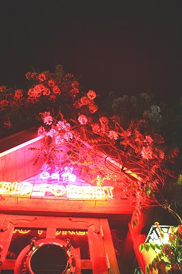 IMG_7943.jpg