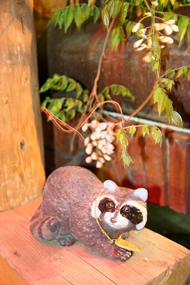 IMG_7954.jpg