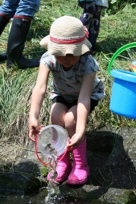IMG_8555.jpg