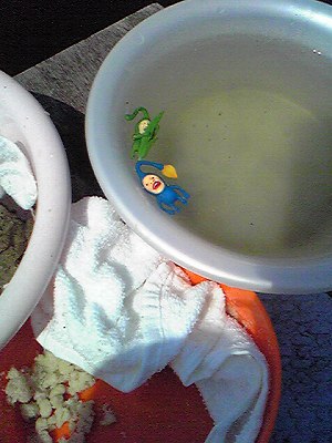 Image579.jpg