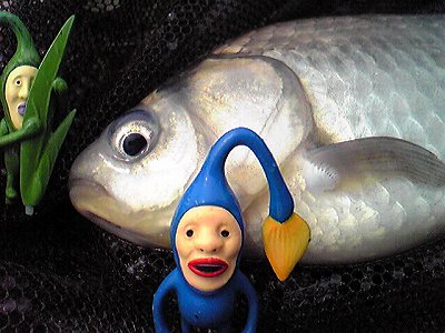 Image588.jpg