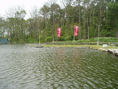 P6020158.jpg