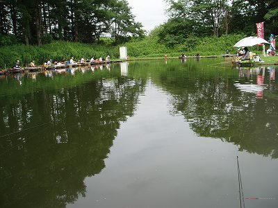 P7110290.jpg