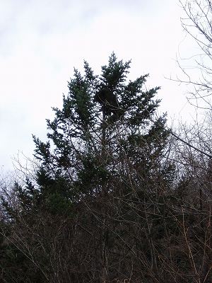 PB090025.jpg