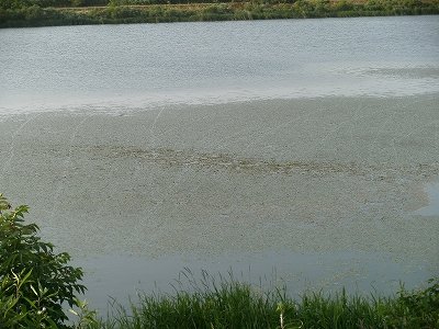 PICT0238.jpg