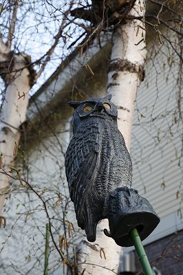 _MG_7364.jpg