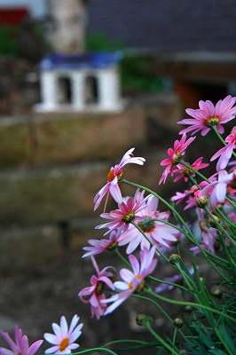 _MG_7402.jpg