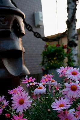 _MG_7415.jpg