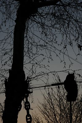 _MG_7428.jpg