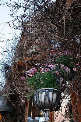 _MG_7451.jpg