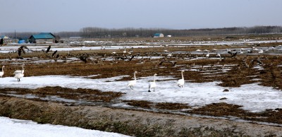 s-aaIMG_2708.jpg
