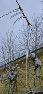 s-aaIMG_6175.jpg