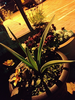 image-20130521232254.png