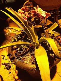 image-20130521232410.png