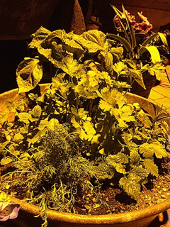 image-20130521232423.png