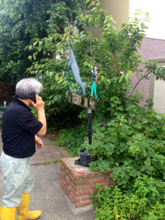 image-20150626002719.png