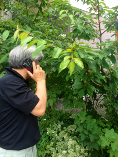 image-20150626002736.png