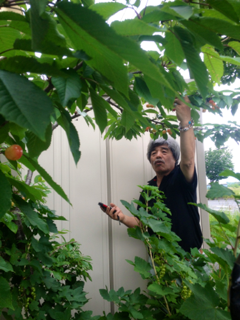 image-20150626002752.png