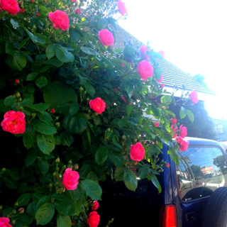 image-20150626002926.png